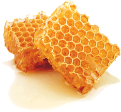Продукт пчеловодства: Пчелиный воск